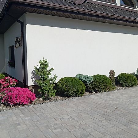 Zacisze Apartment Rozalin  Bagian luar foto